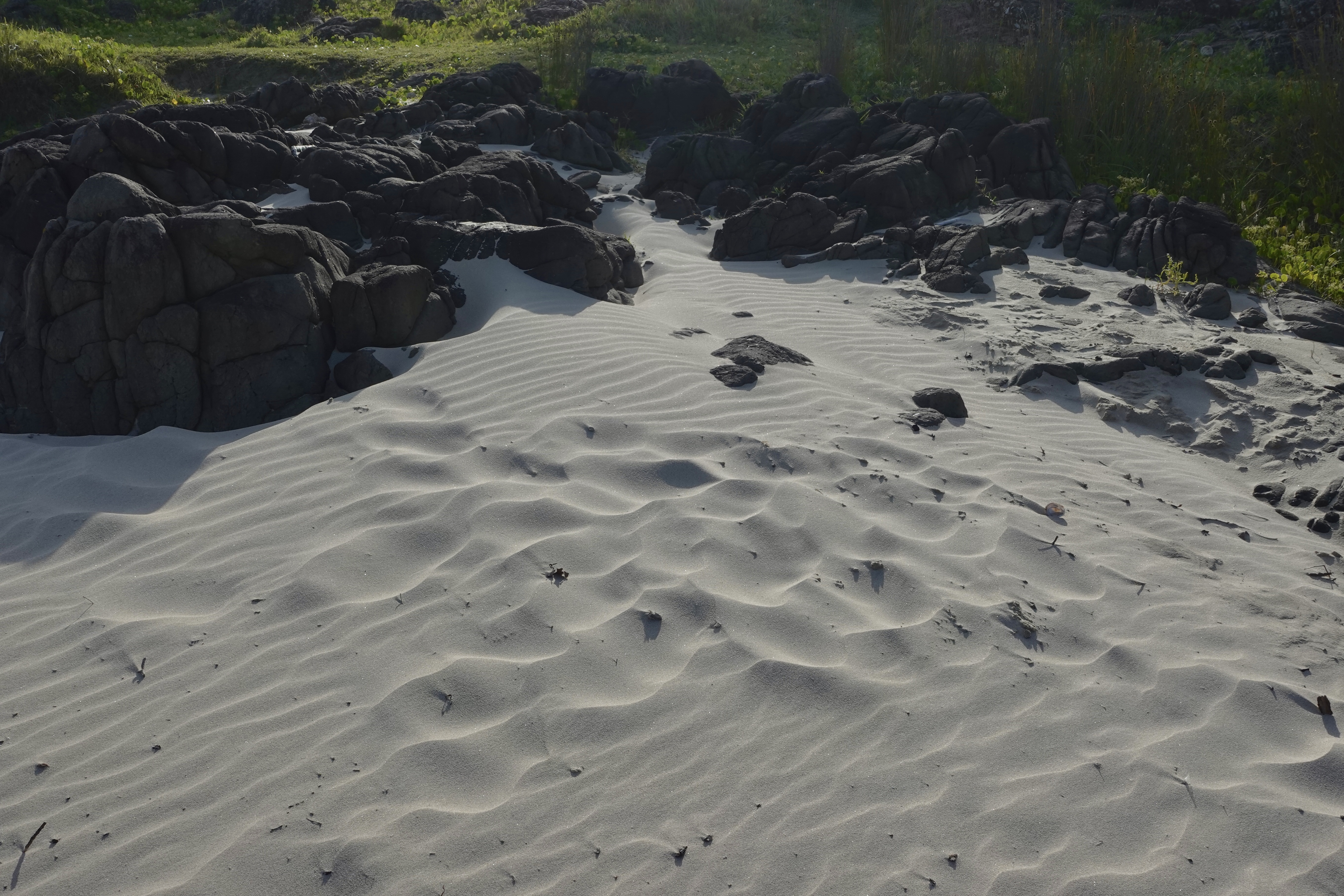 minnamurra beach