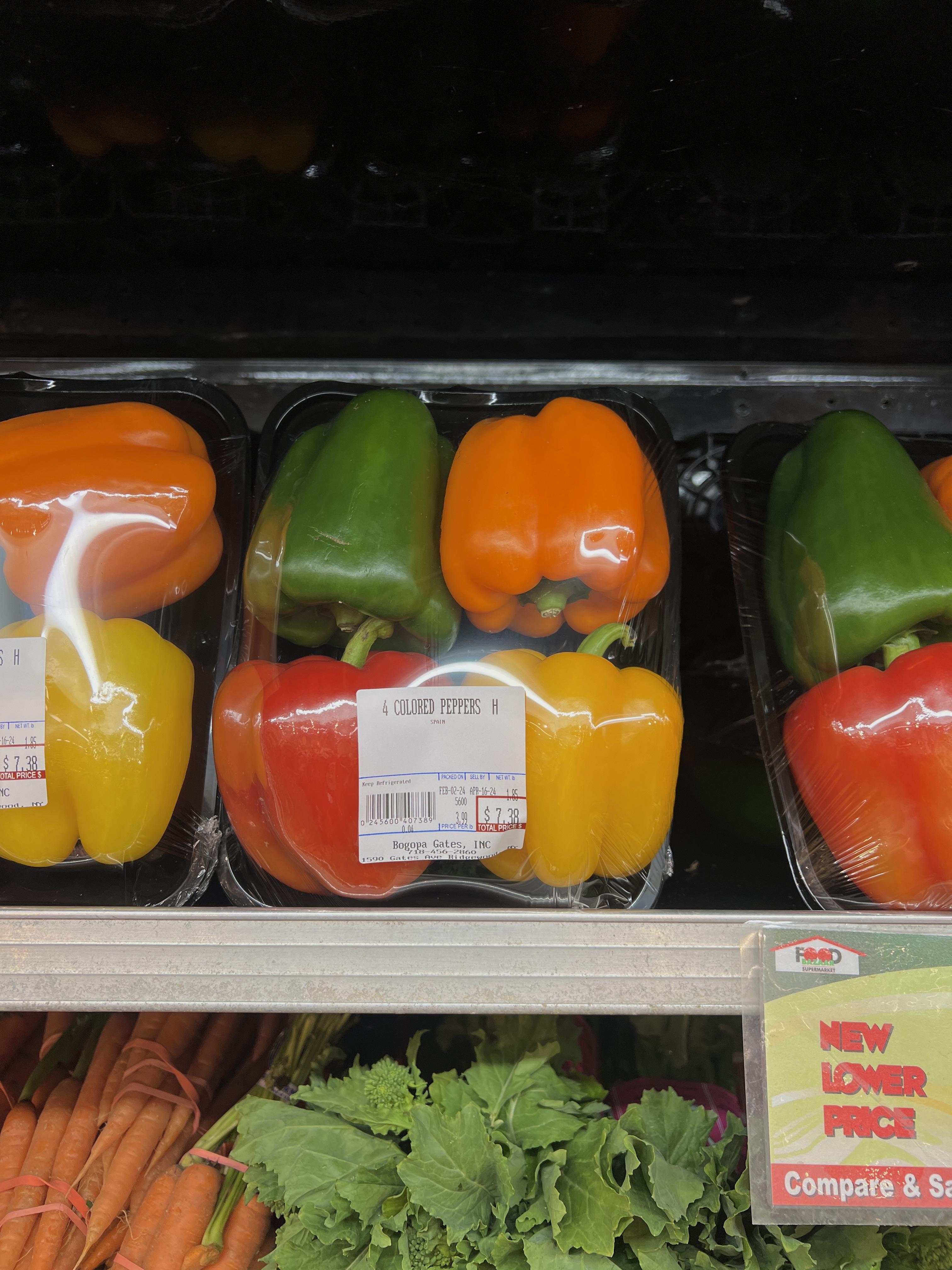 capsicum
