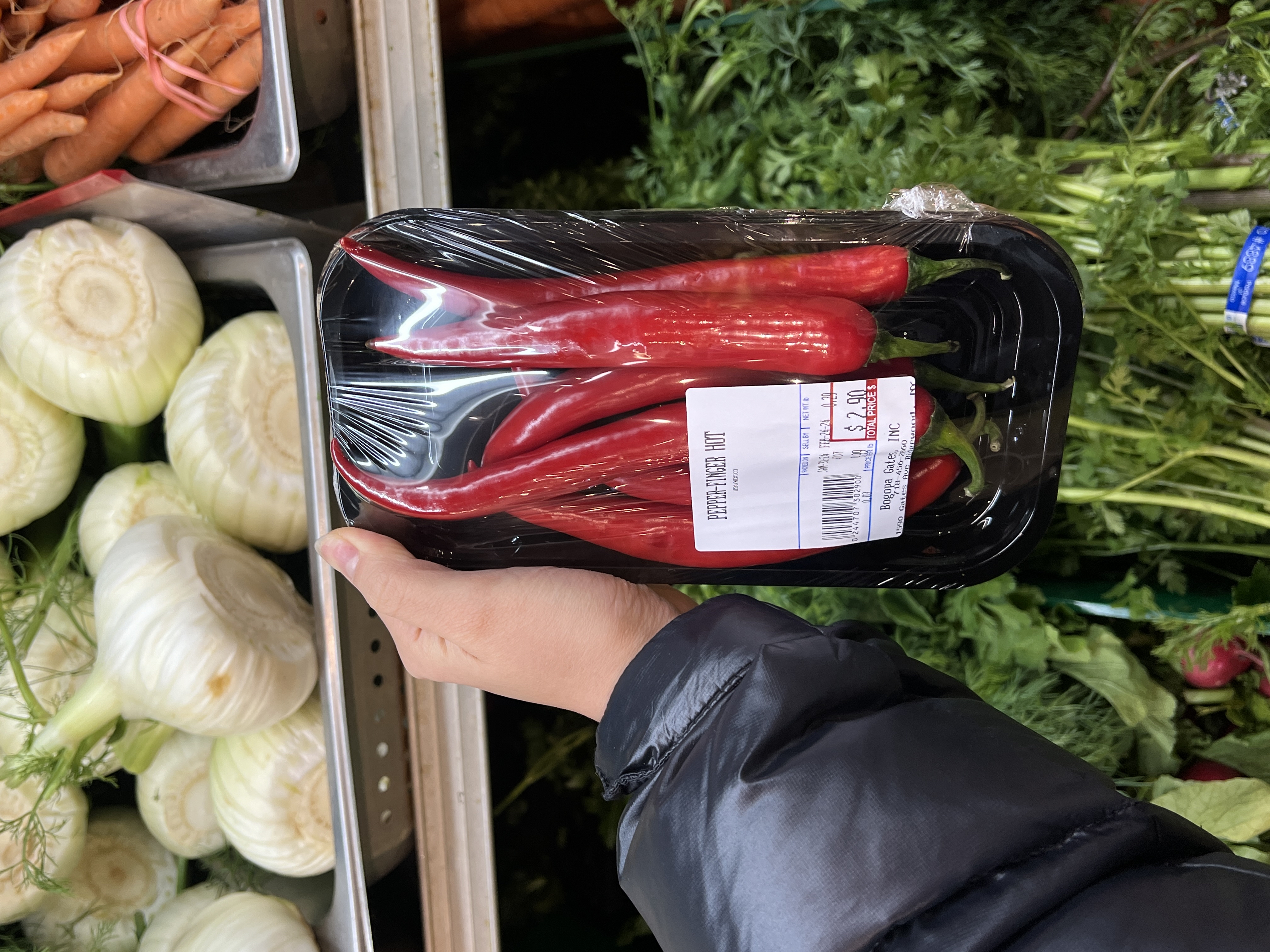red chilli